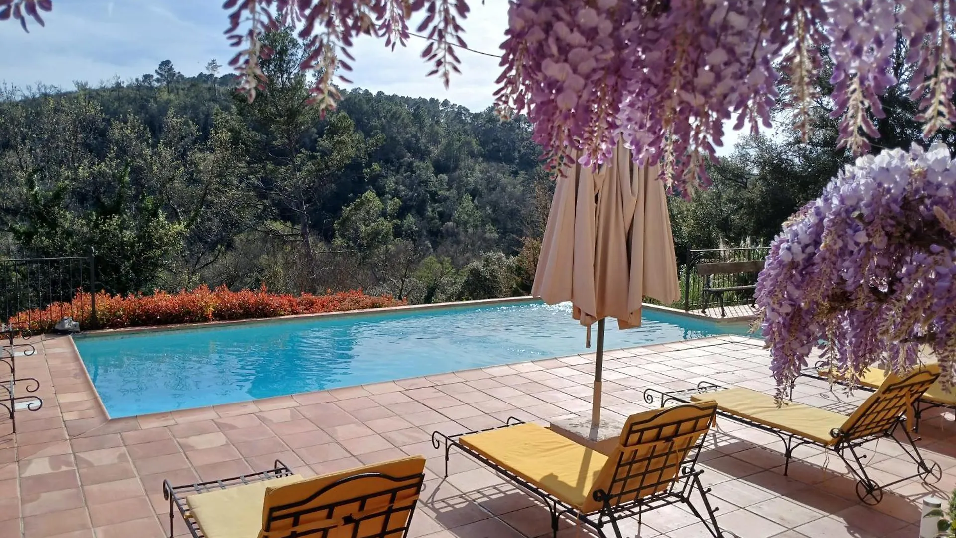 Le Pijouret - Appt Avec Piscine Privee Apartment Brignoles